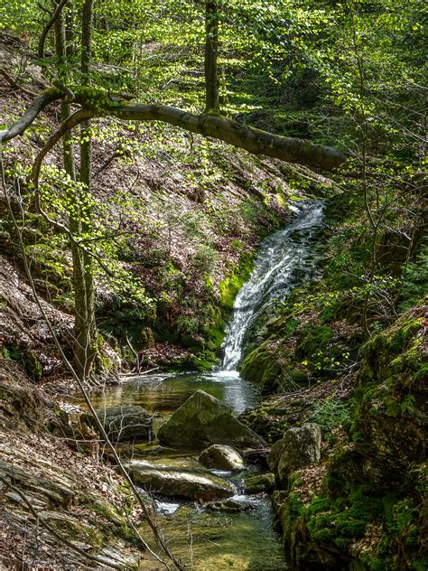 Hiking in the Belgian Ardennes: 11 most beautiful walks you must do