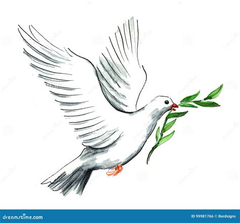 Dove Of Peace Stock Illustration Illustration Of Pigeon 99981766