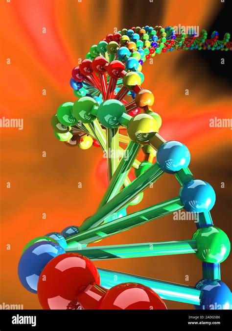 DNA molecule, computer artwork. The molecule of DNA (deoxyribonucleic ...