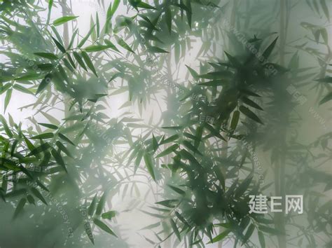 植物竹子艺术磨砂玻璃贴图3d贴图下载 ID 103764036 建e贴图