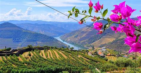 Fra Porto Douro Dalen Med Vinsmagning Frokost Og B Dtur Getyourguide