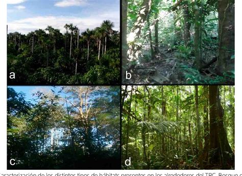 Figure 2 from COMPOSICIÓN FLORÍSTICA Y DIVERSIDAD EN CUATRO TIPOS DE