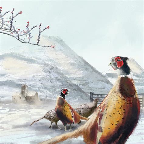 Ring Necked Pheasant Painting By Clare Davis London Pixels