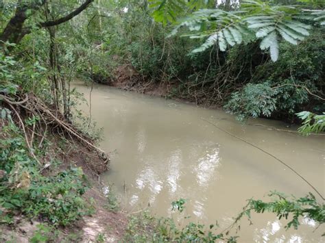 Fazenda S Tio M Em Zona Rural Em Porangaba Por R