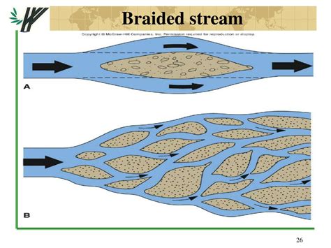 Braided Stream Diagram