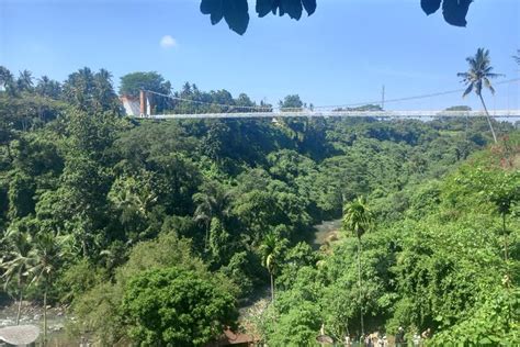 Tiket Bali Glass Bridge Bali Jembatan Kaca Waterfall And Ubud Tour Harga Promo