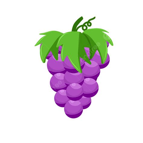 Grape Clipart Png Images Grapes Illustration Grape Png Grape Icon