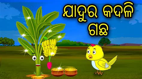 Jadura Kadali Gacha Odia Cartoon Odia Bird Stories Odia Chadhei Gapa