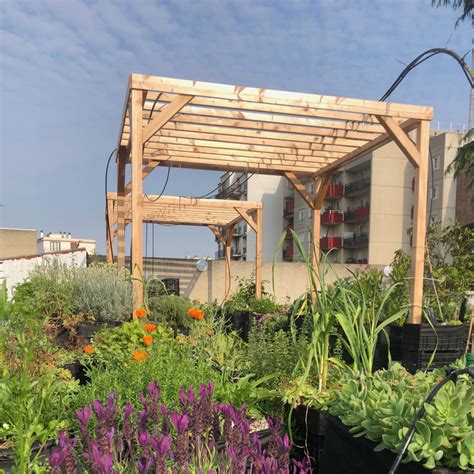 Pergola Modulable En Bois Douglas Mon Petit Potager