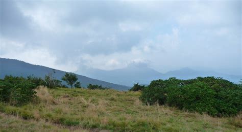 Carvers Gap to Grassy Ridge Bald on Roan Mountain