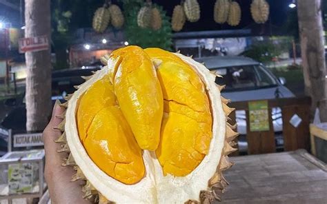 Rekomendasi Tempat Makan Durian Di Serang Dan Pandeglang Paling Maknyus