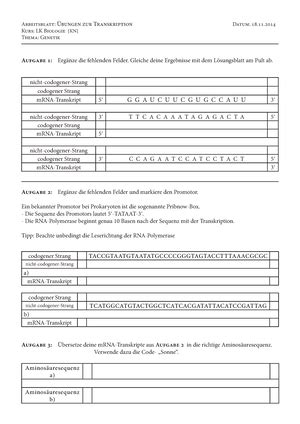 Arbeitsblaetter Schueler Der Aufbau Einer Nervenzelle Beschriften