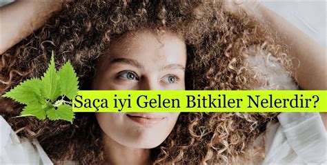 Saça İyi Gelen Bitkiler Nelerdir Güzel Bilgiler