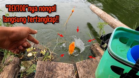 DAPAT REKTOR LAGIEXPLORASI LANJUT KE LAPAK SARANG BABON Mancing