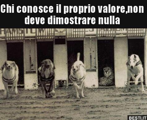 Chi Conosce Il Proprio Valore Non Deve Dimostrare Nulla BESTI It