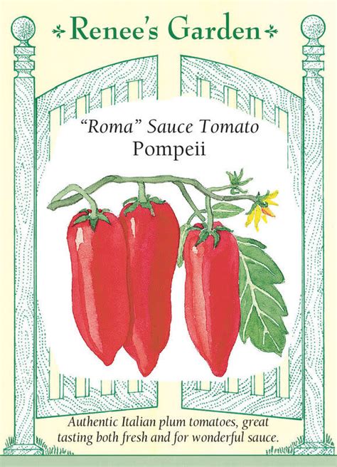 Renee S Italian Pompeii Plum Tomato Seeds Klomps Home And Garden