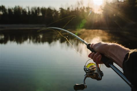 Temporada De Pesca Recreativa 2023 Tecnoenlaces Equipos Para