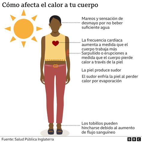 Cómo impactan las olas de calor extremo a nuestro cuerpo y quiénes