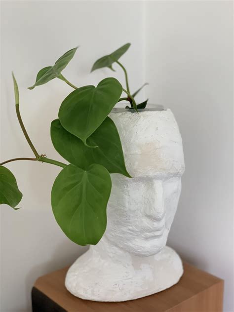Weekend Project Easy Sculpture Planter Made From A Styrofoam Head And