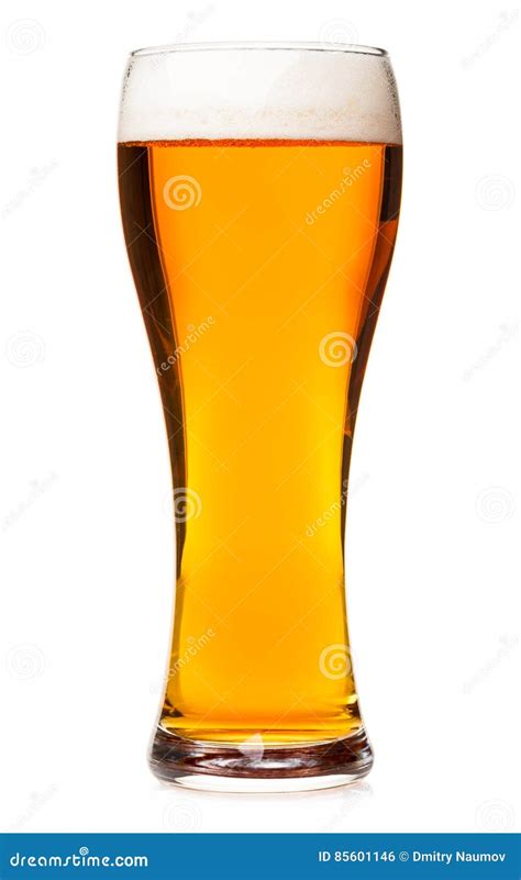 Tall Glass Of Pilsner Beer With Head Isolated Stock Photo Image Of