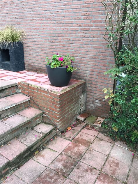 Tuintrap Maken En Terras Aanleggen Werkspot