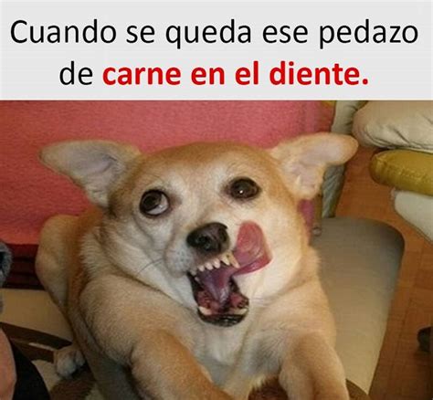 30 Imágenes Y Memes Graciosos De Febrero 2017 Imagenes Chistosas