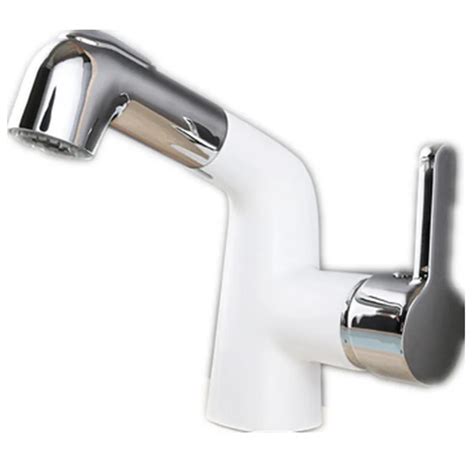 Chrome Finish Pull Out Spout