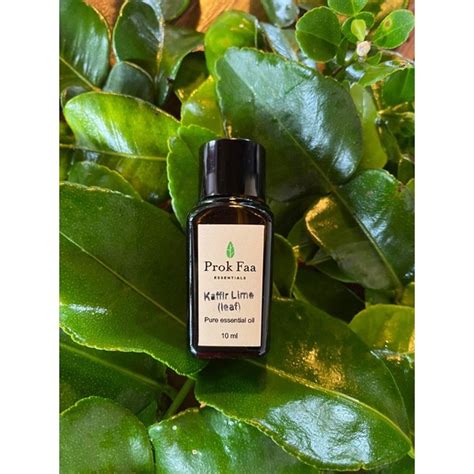 Kaffir Lime Leaf Essential Oil นำมนหอมระเหย ใบมะกรด Kaffirlime 10 ml