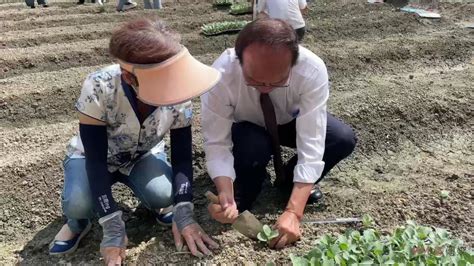 影／北斗鎮民開心農場開種 60名鎮民農夫種植青花菜、結頭菜 蕃新聞