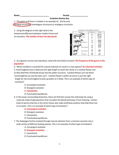 Name Period Evolution Review Key 1 The Pelvis And Femur In