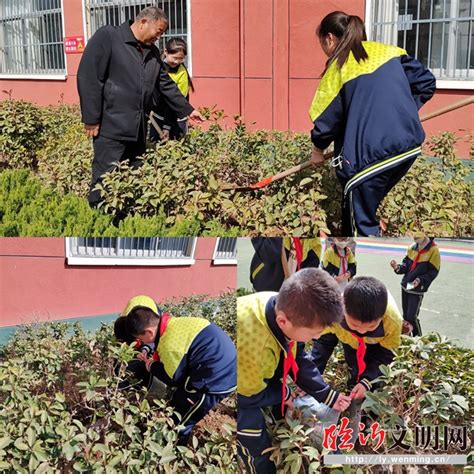 兰山：景扬小学开展我为校园添绿色植树节活动