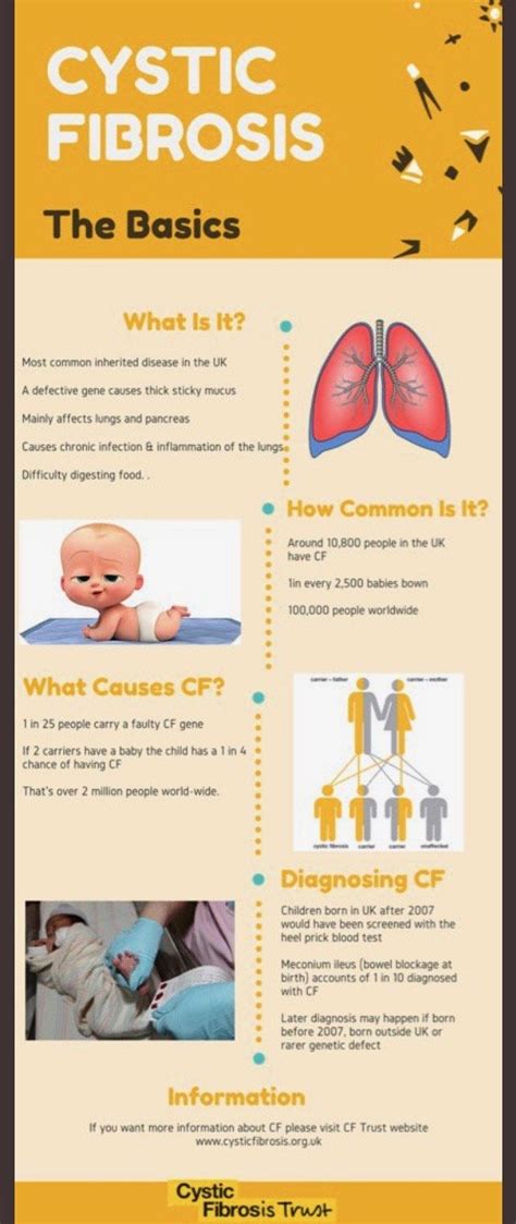 Respiratory Therapy Respiratory System Cystic Fibrosis Facts NBKomputer