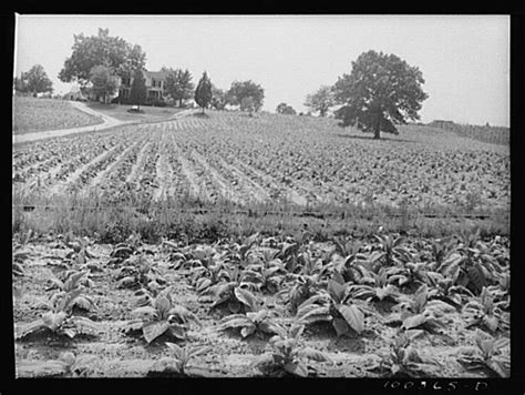 Photos Colonial Maryland