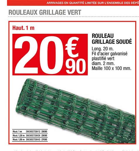 Promo Rouleau Grillage Soudé chez Brico Dépôt iCatalogue fr