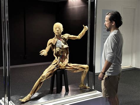 Descubra os segredos do Corpo Humano em exposição educativa