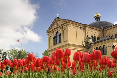 Franciscan Monastery Of The Holy Land In America What To Know Before You Go Viator