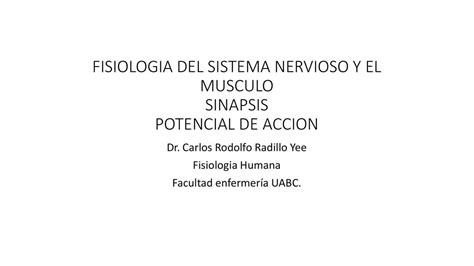 Fisiología del sistema nervioso y el musculo omar antonio madrigal