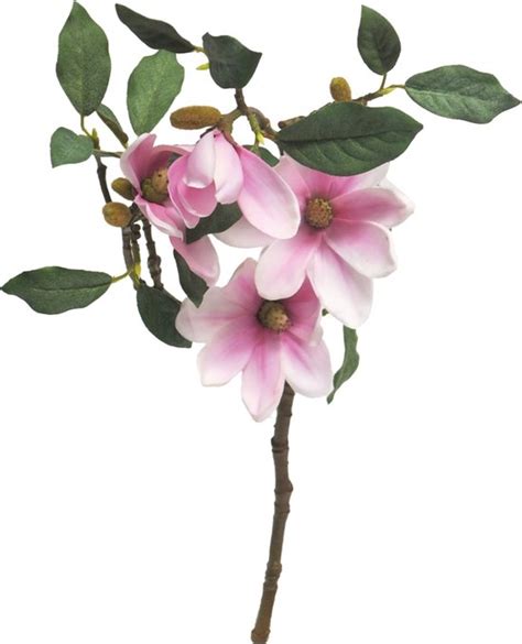 SENSE Zijdenbloem Magnolia Susan Pink Kunstbloem Boeket Vaas Roze