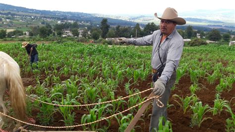 Agricultura Edo Mex On Twitter Actual Zate Con Los Temas M S