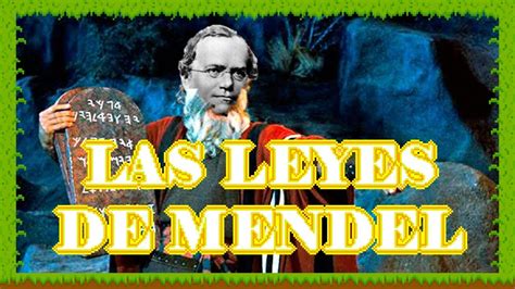 Las Leyes De Mendel YouTube