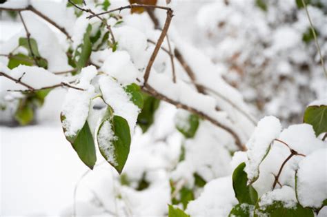 Anchorage blanketed in white after first sizable snowfall - Alaska ...