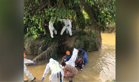 Lelaki Hilang Ditemui Tergantung Pada Pokok Mykmu Net