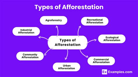 Afforestation - Definition, Examples, Types, Importance, Benefits & More