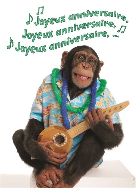 Joyeux Anniversaire Homme Humour Riset