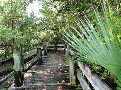 Von D Mizell Eula Johnson State Park In Dania Beach Fla