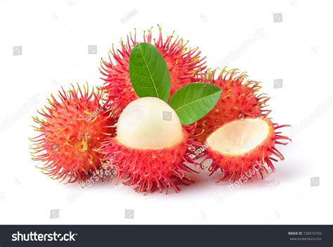 46,650 Rambutans Fruit Images, Stock Photos & Vectors | Shutterstock