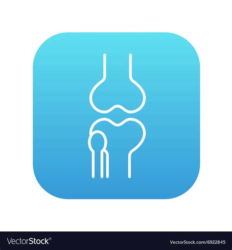 Knee Joint Line Icon Royalty Free Vector Image