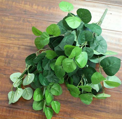 Creeping Charlie Plant Hanging Bush Home Wedding Backdrop Decor Floral