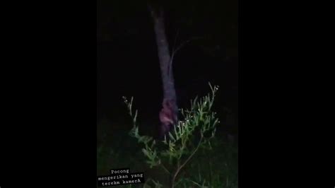 PENAMPAKAN POCONG YANG MENGERIKAN DAN PALING JELAS Shorts YouTube