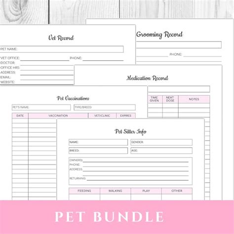 Vet Record Printable Etsy